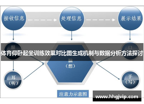 体育仰卧起坐训练效果对比图生成机制与数据分析方法探讨